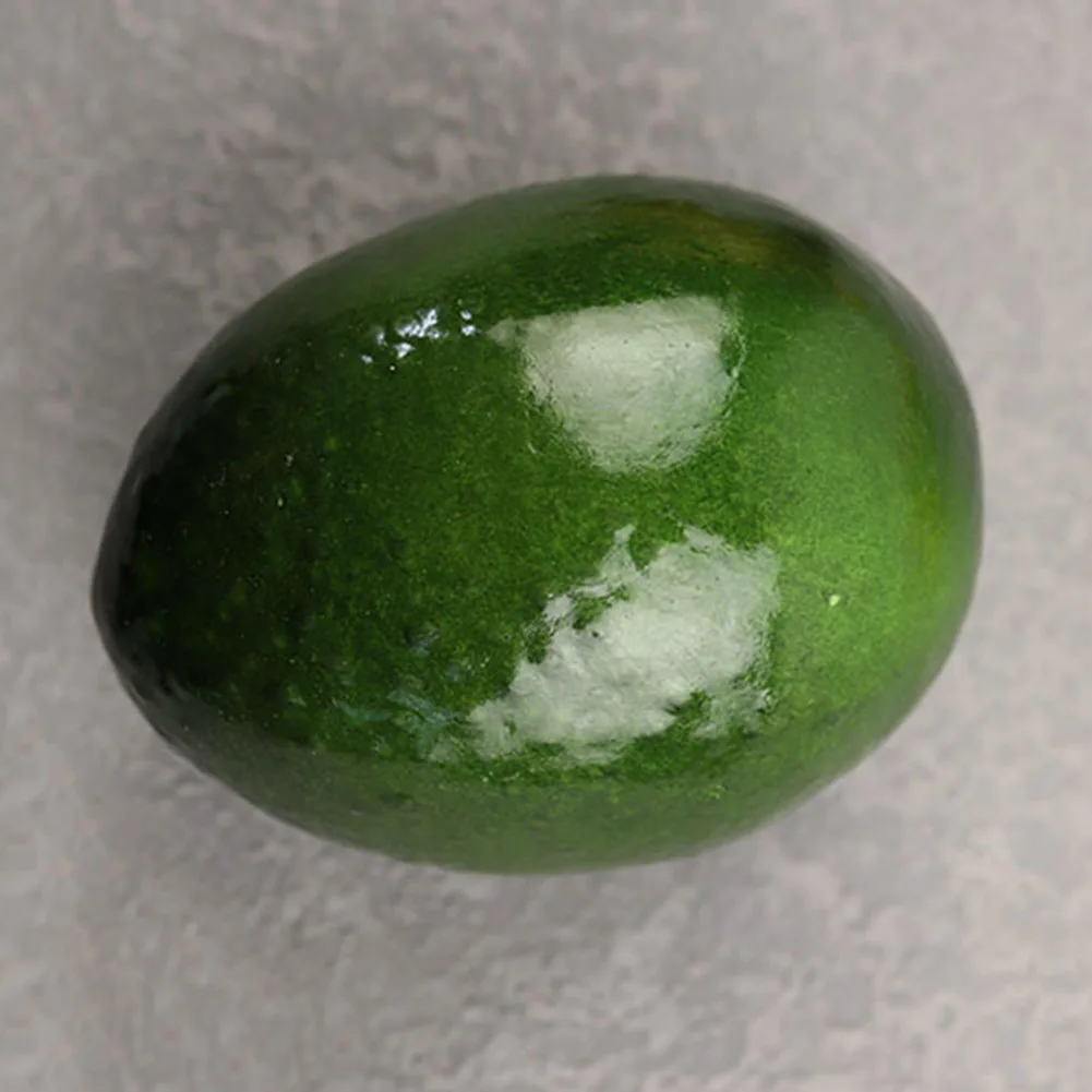 Modelo de aguacate Artificial, - Photography Of Food reseña y precio